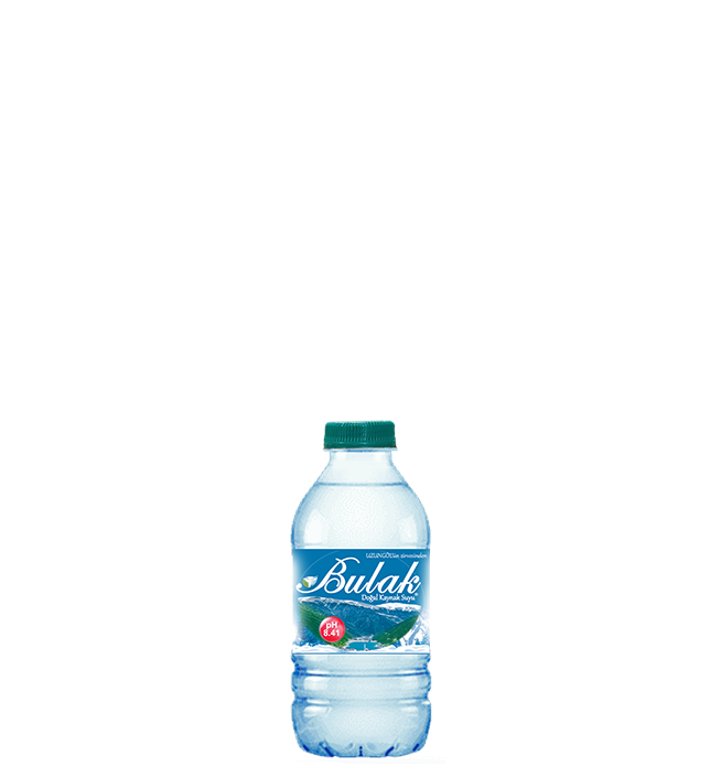 330 ml Pet Şişe