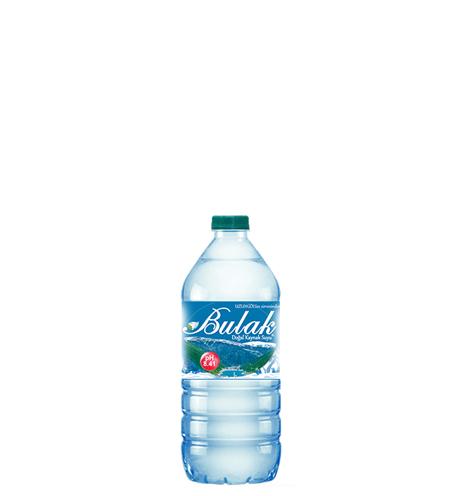 1 L Pet Şişe